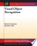 Visual Object Recognition