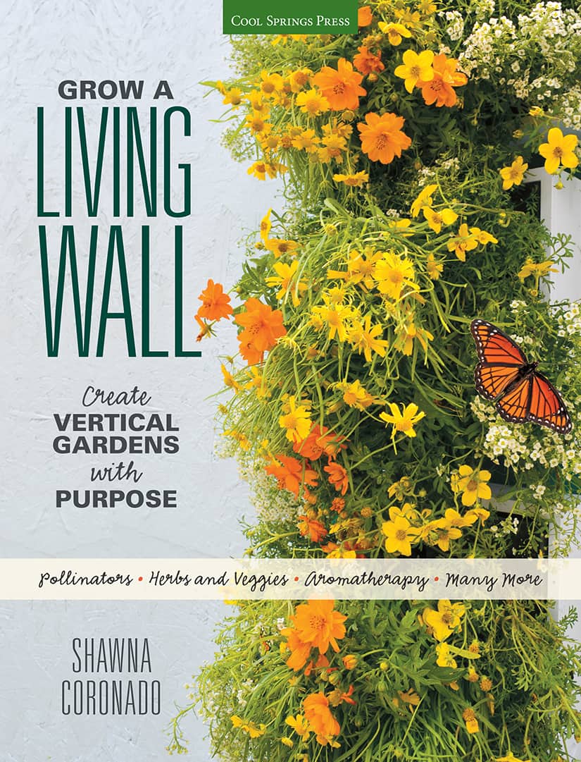 Grow A living Wall