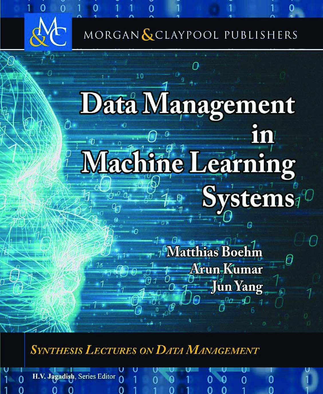Data Management in Machine Learning Systems