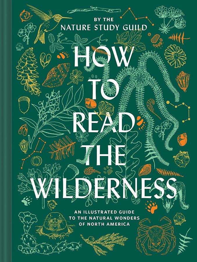 How to Read the Wilderness